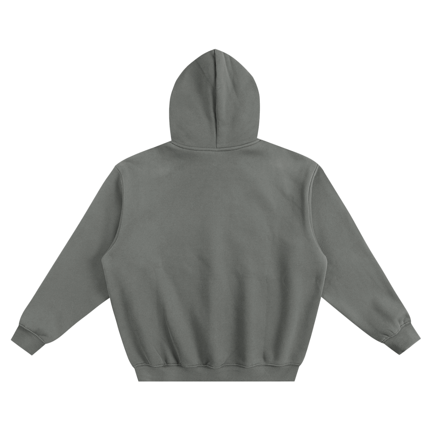 Lion Division Hoodie by AKALI ESSENTIALS