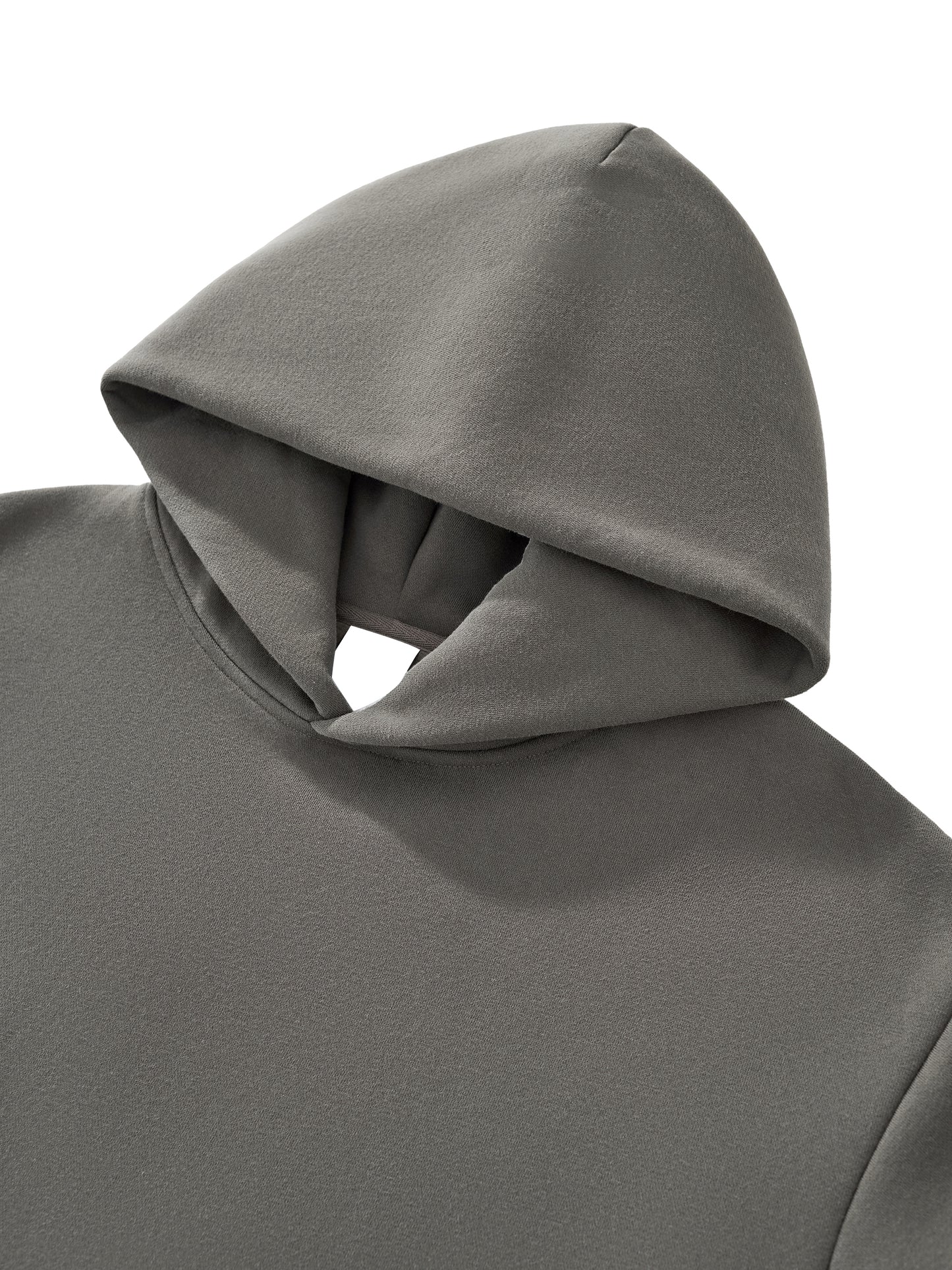 Lion Division Hoodie by AKALI ESSENTIALS